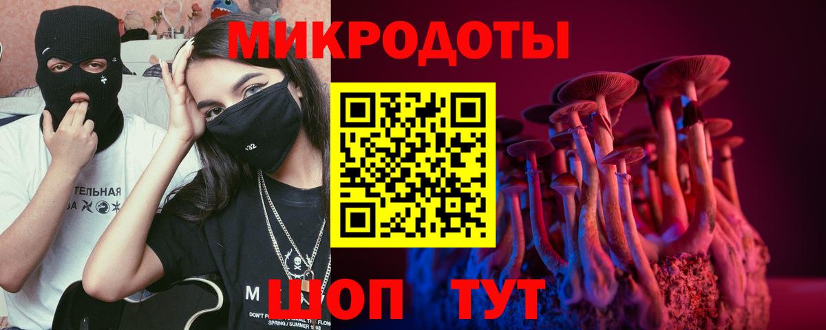 Псилоцибиновые грибы Cubensis Новоалександровск