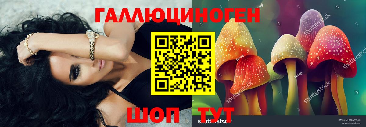Галлюциногенные грибы Psilocybe  даркнет сайт  Новоалександровск  Вход с VPN 